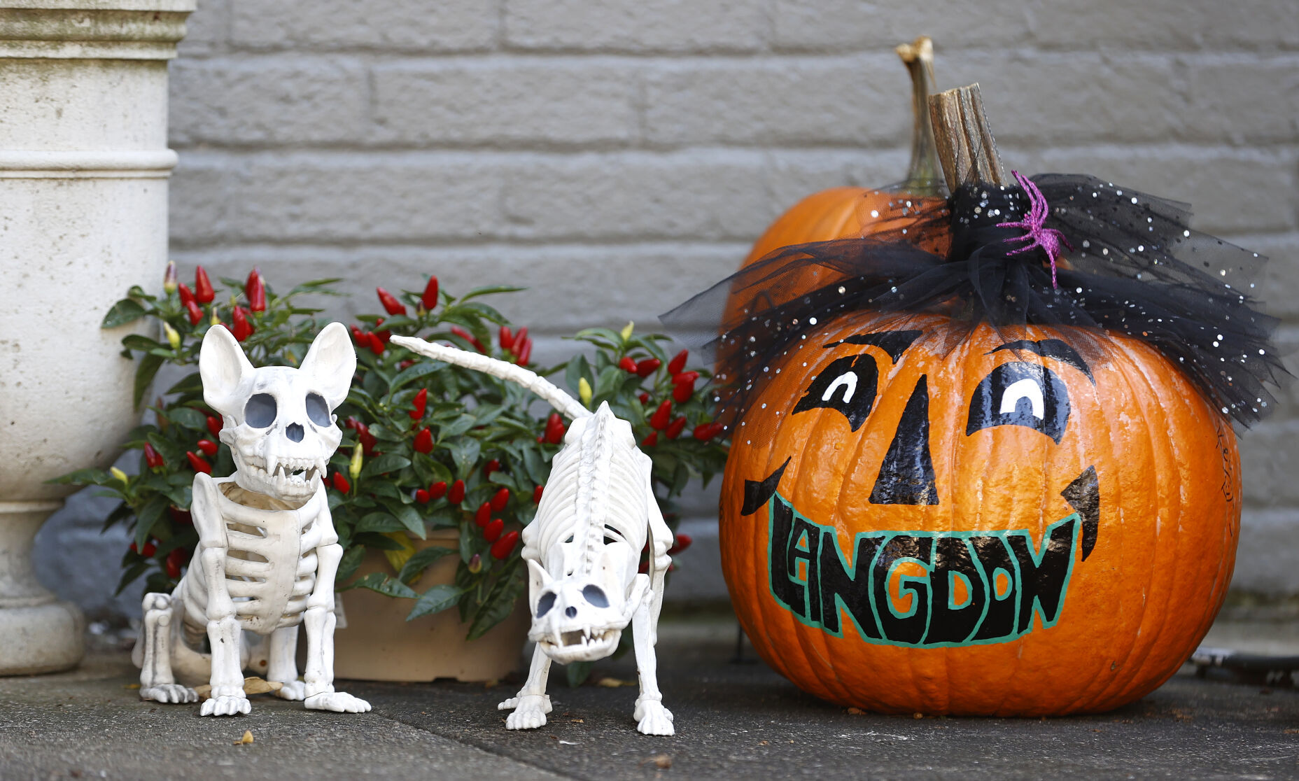20221026_MET_HALLOWEEN_AWE08